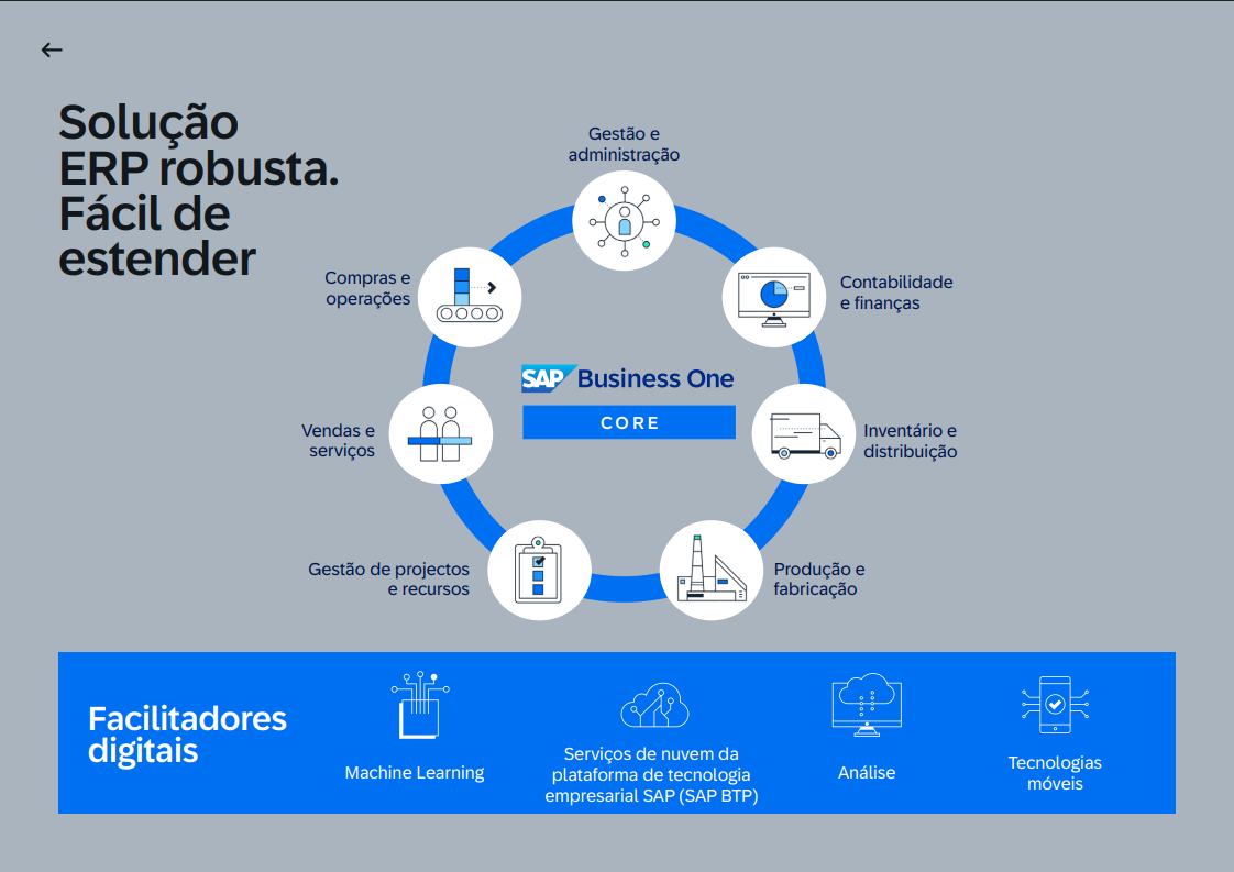 SAP Business One